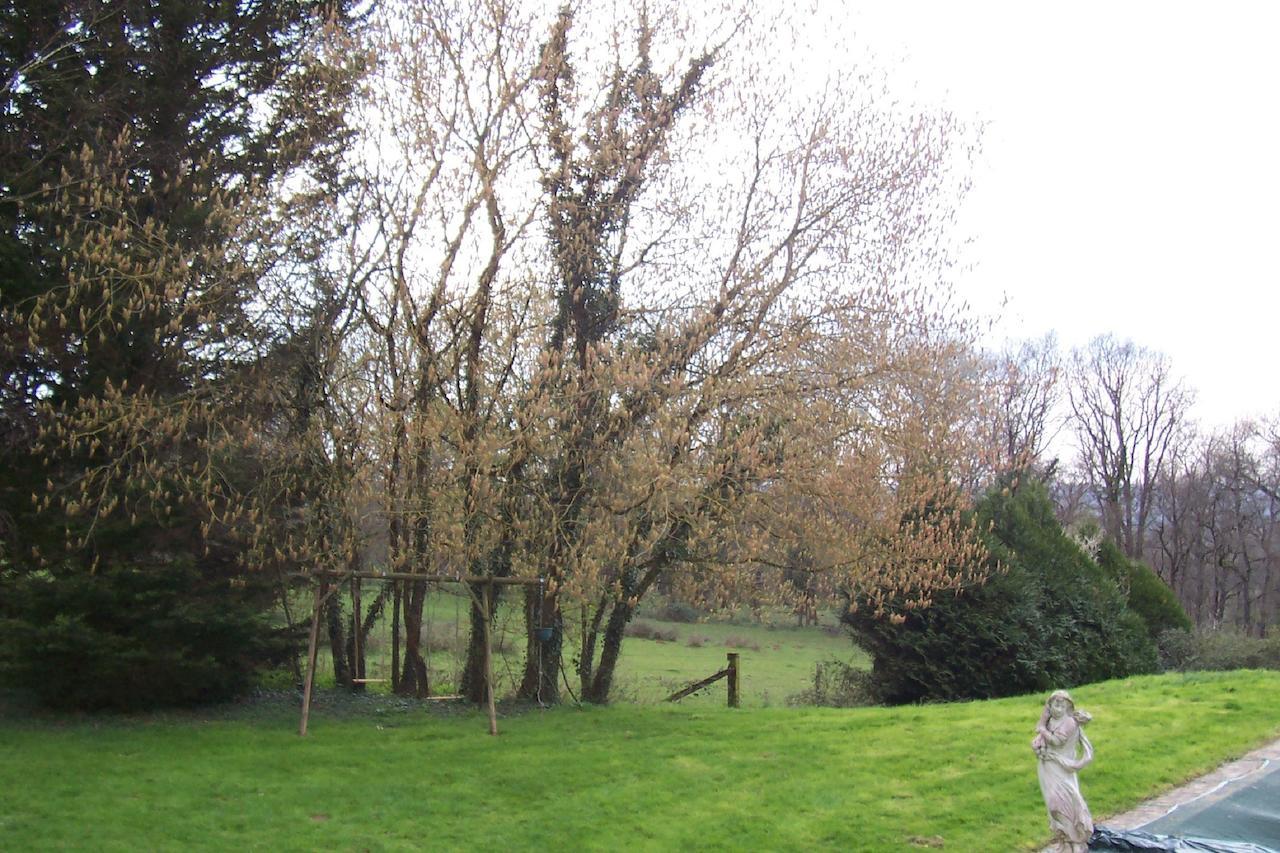 Bed and Breakfast Chateau Champigny Maillet  Exteriér fotografie